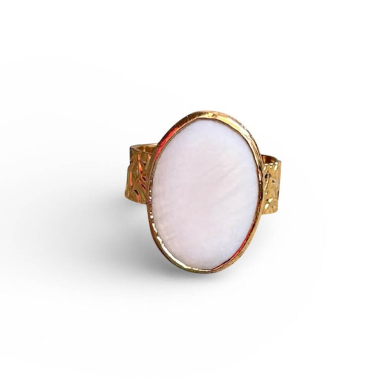 617103610 1375188227639392 2523034416780768151 n copia